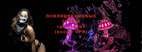 ПСИЛОЦИБИНОВЫЕ ГРИБЫ Алексеевка